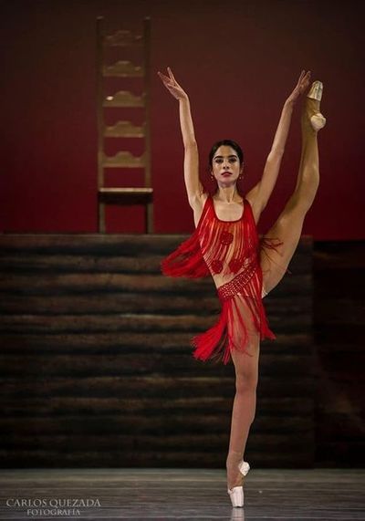 Ana Elisa Mena