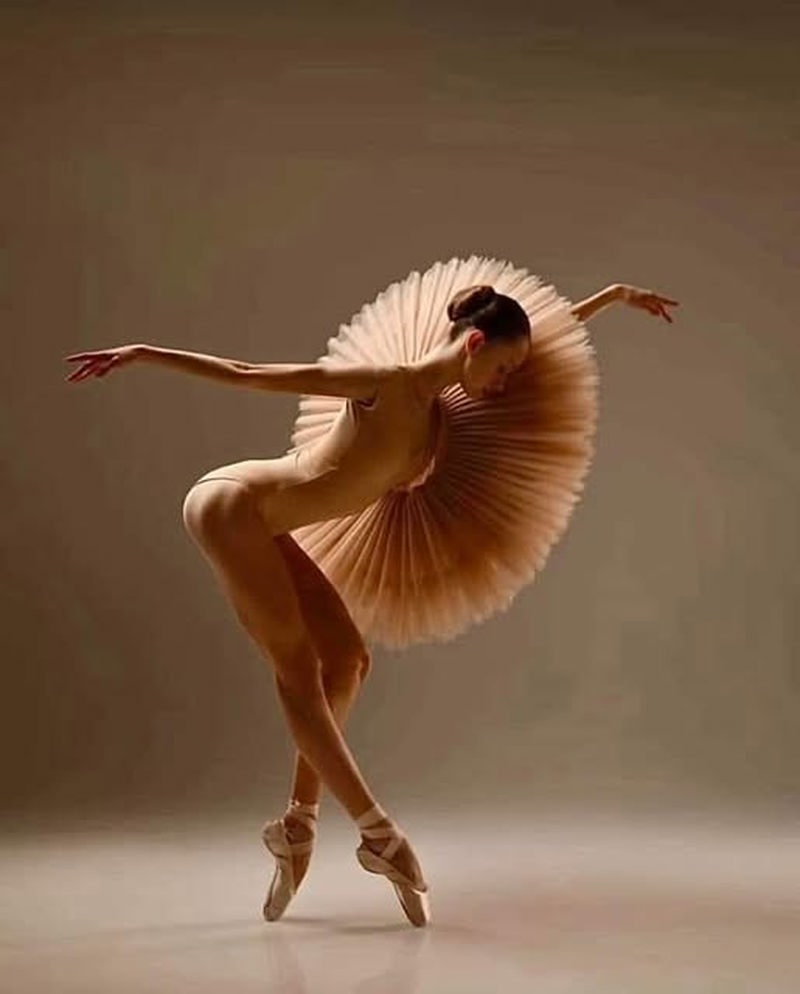 Daryna Abitova