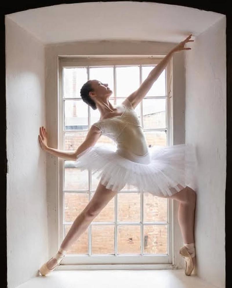 Jojo Levin by Jeri Tidwell