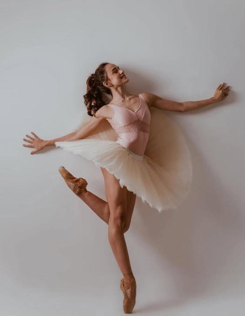 Pietra Rego