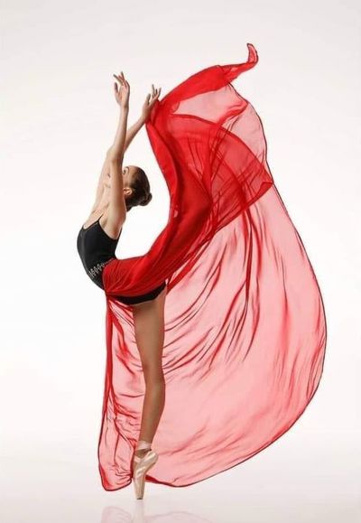 Polina Loshchilina